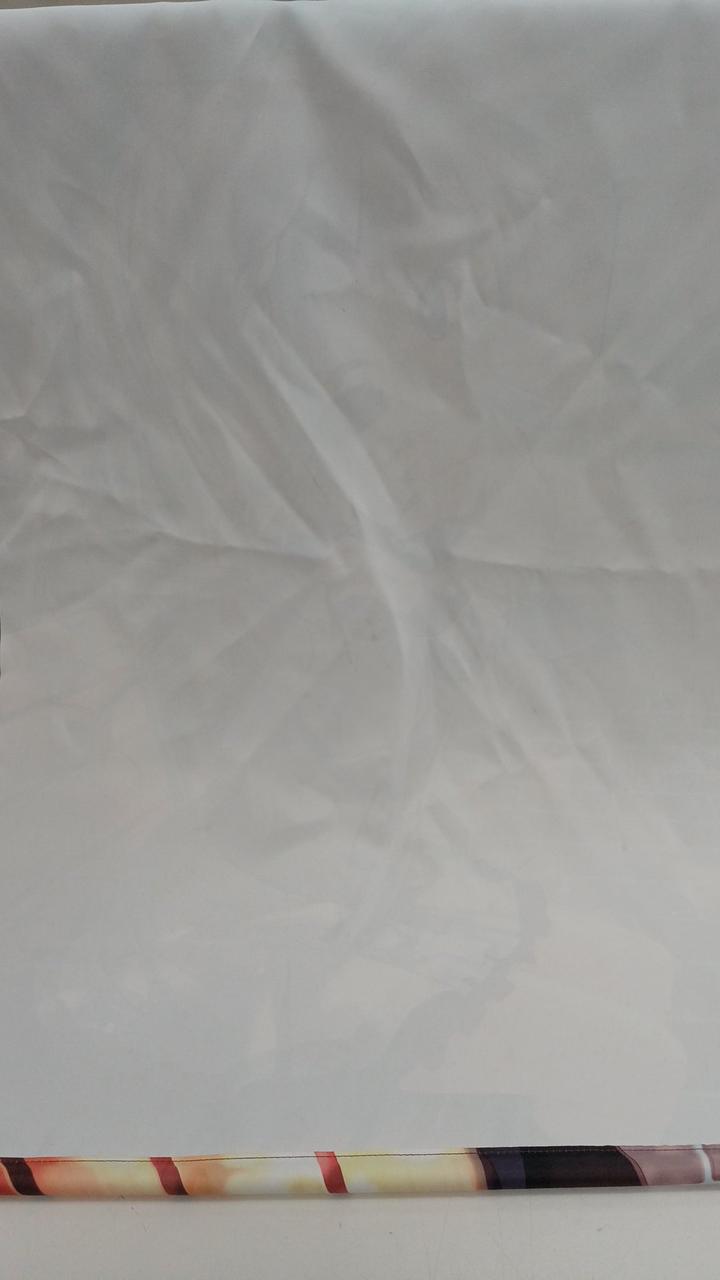 裏面、シミよごれあり