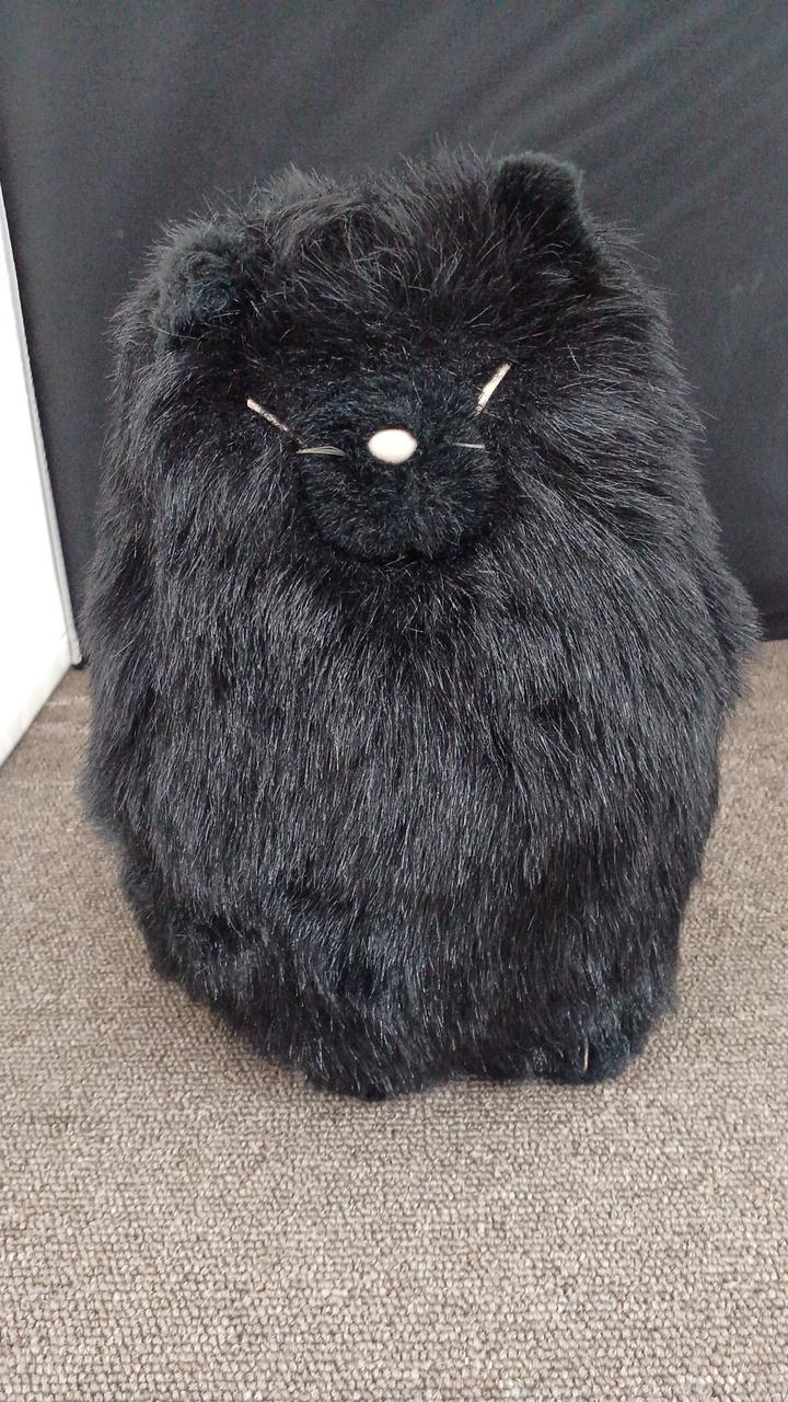 現状品での販売です。