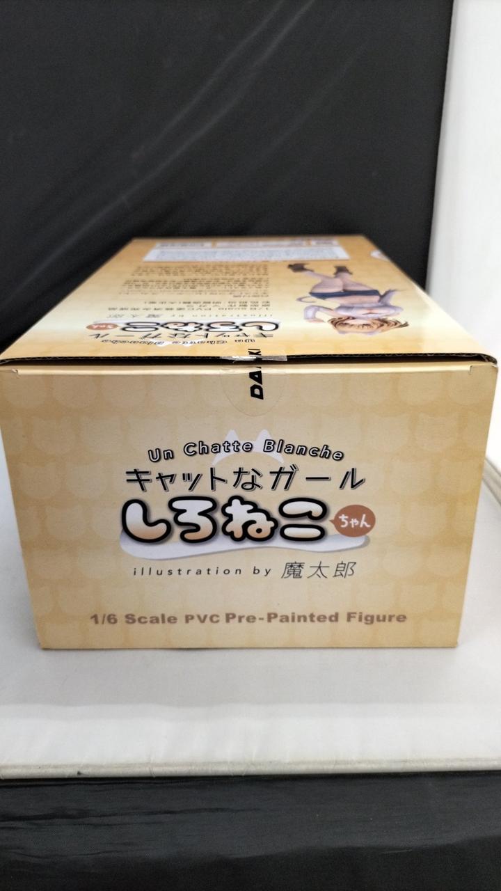 キキちゃん Amazon.com: Z24S Z24I Engine Cylinder Head Gasket 10084400