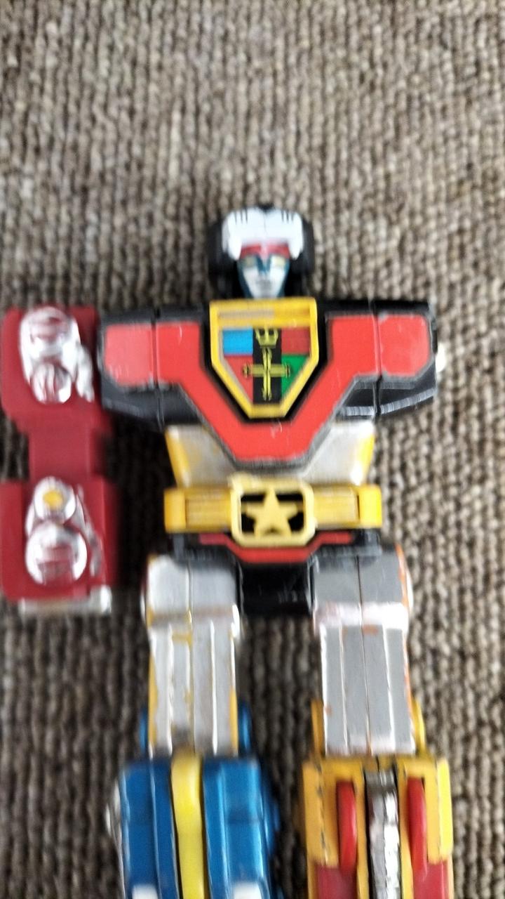 左腕、右手首、獣王剣等欠品多数