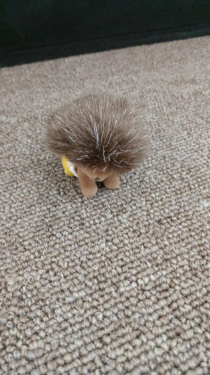 現状品での販売になります。キズ汚れあり。