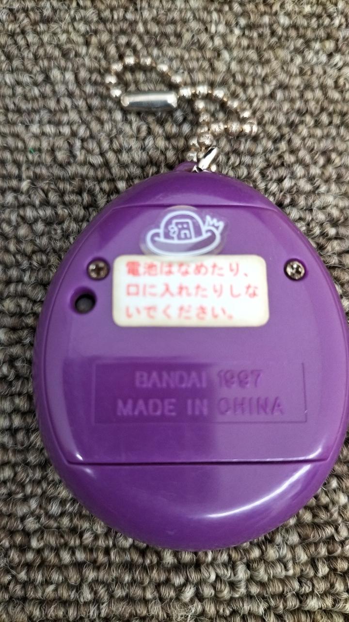 電池蓋ネジ錆有