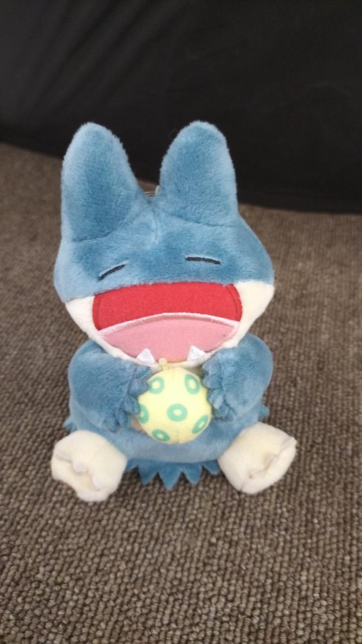 現状品での販売です