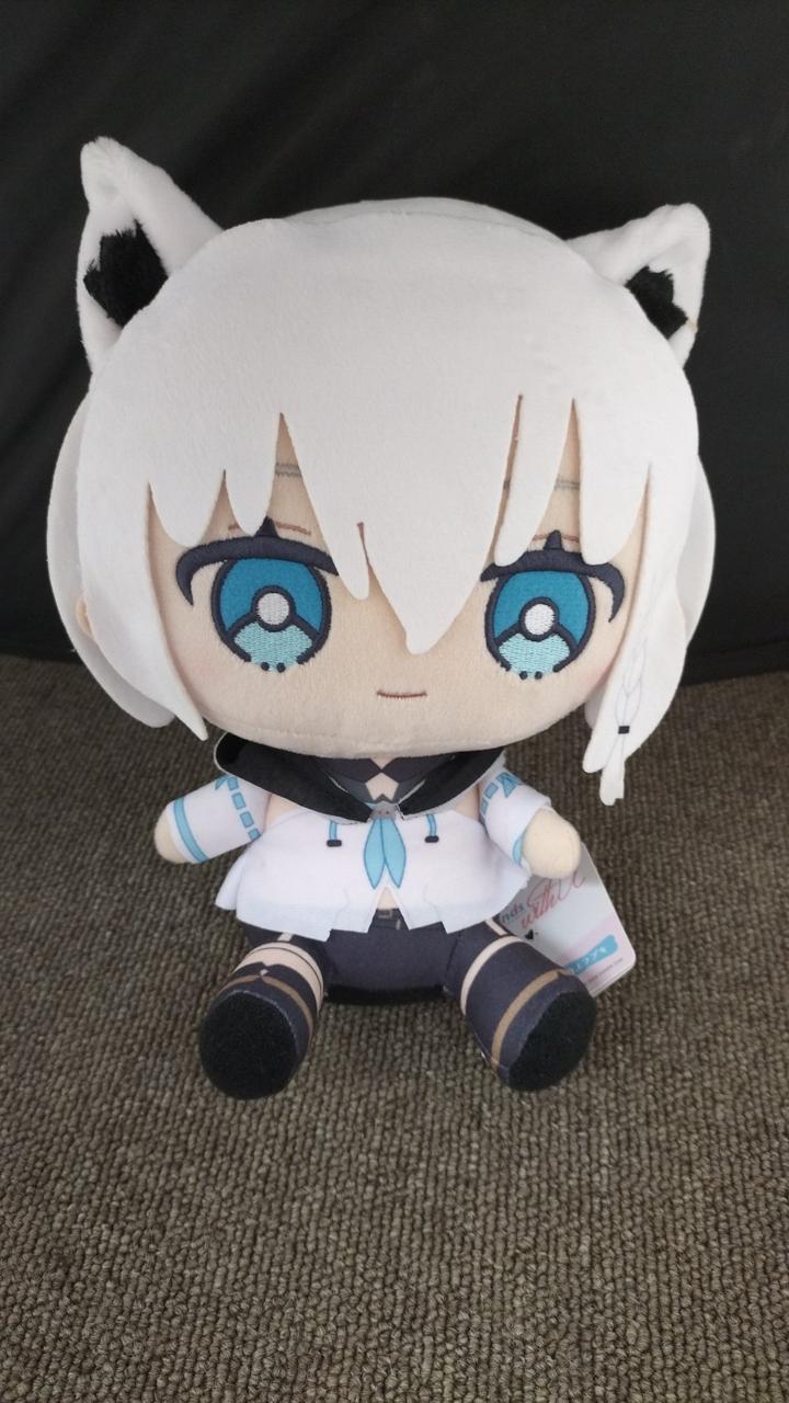 現状品での販売です