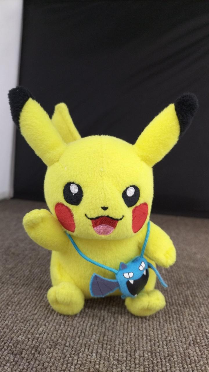 現状品での販売です