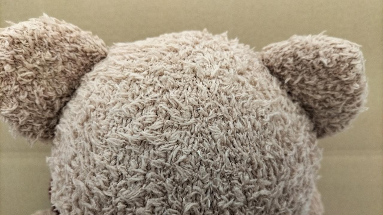 ジェラートピケ|ホリデーベア|HARDOFFオフモール（オフモ