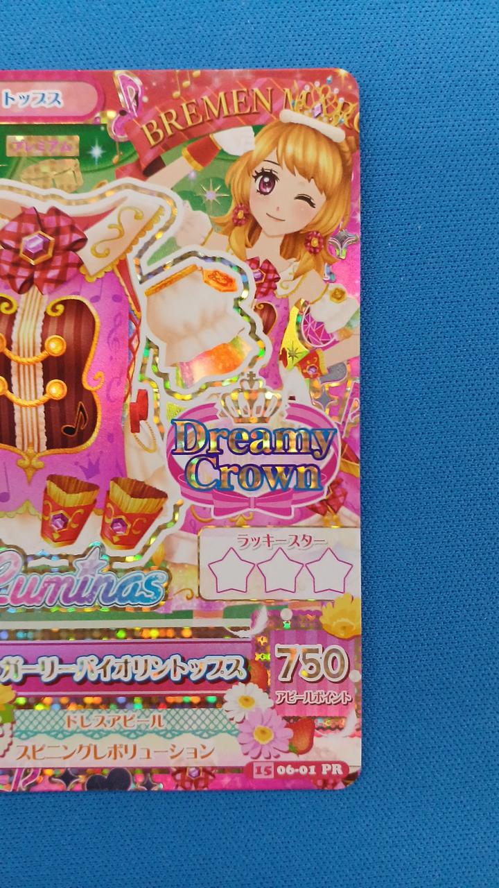 アクセサリーは付属しません。