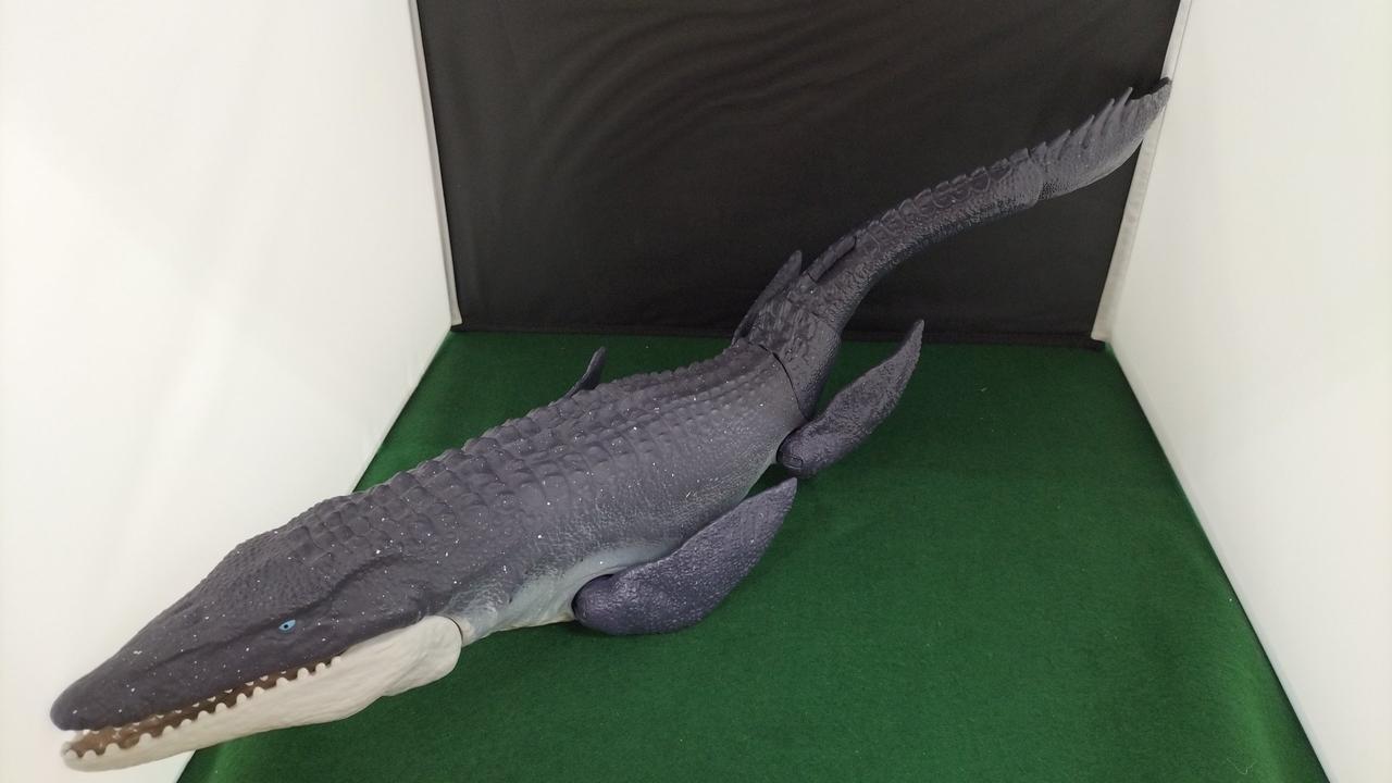 現状品での販売です