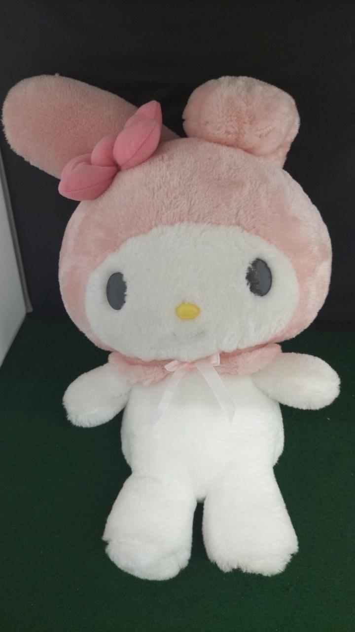 現状品での販売です