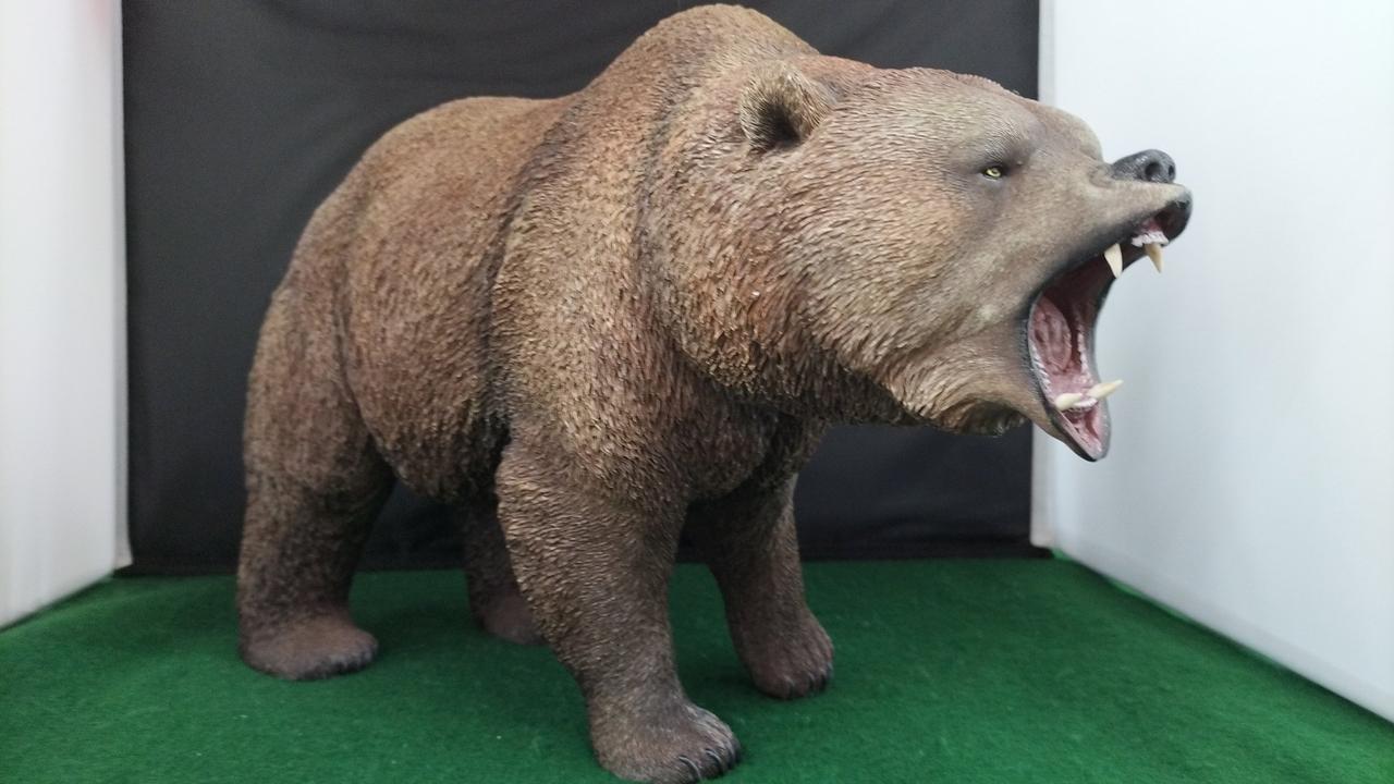 現状品での販売です