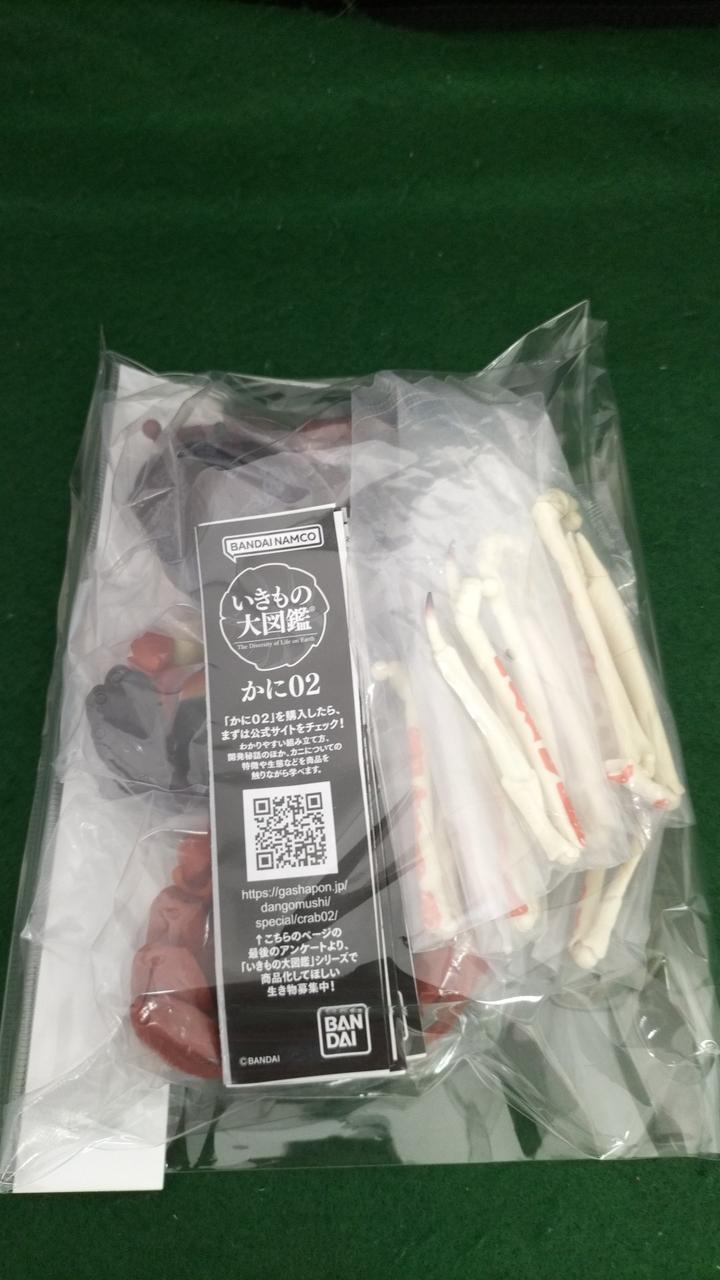 全4種コンプリートセット