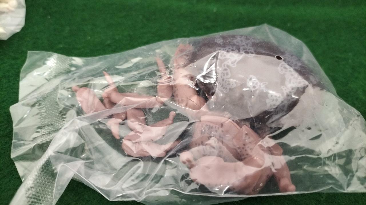 スベスベマンジュウガニ(リアルカラー)