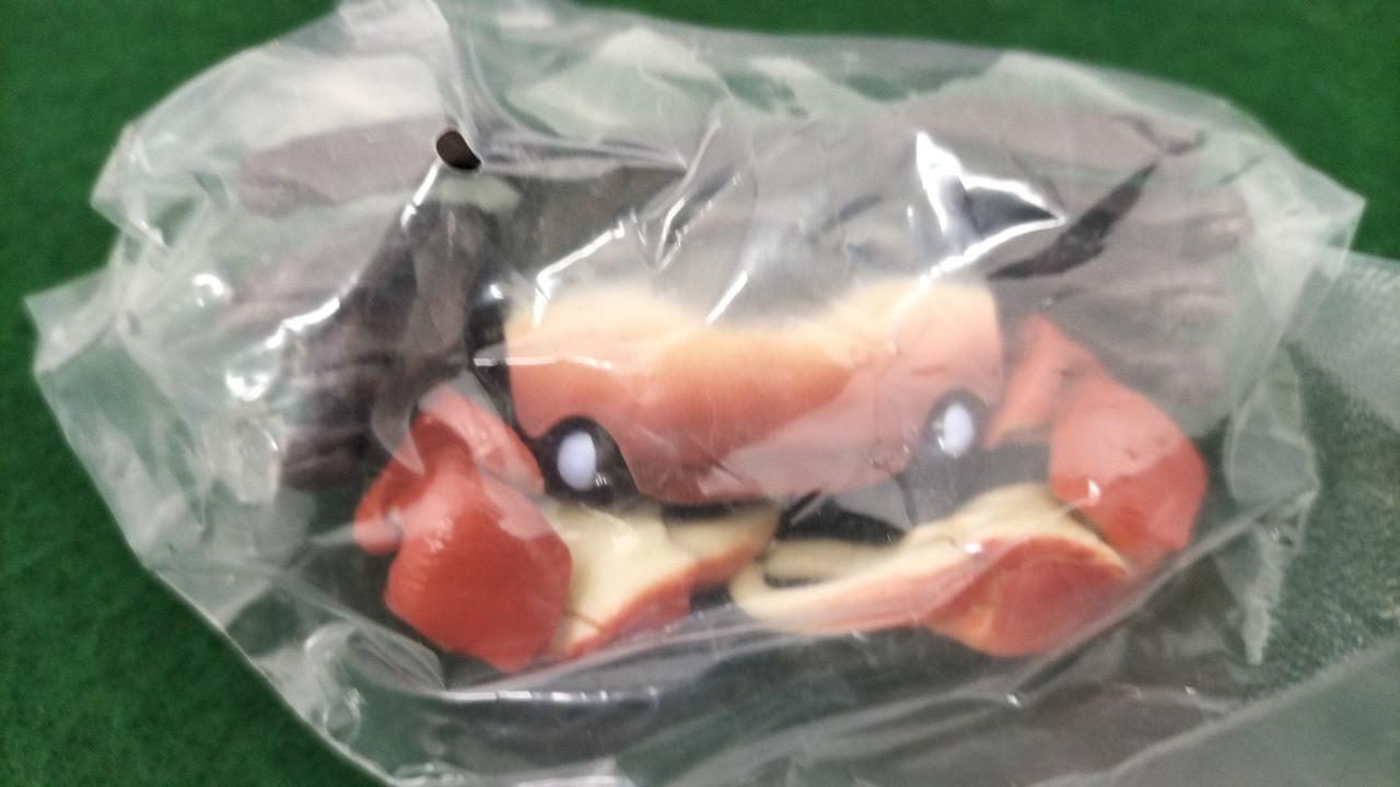 アカテガニ(赤)