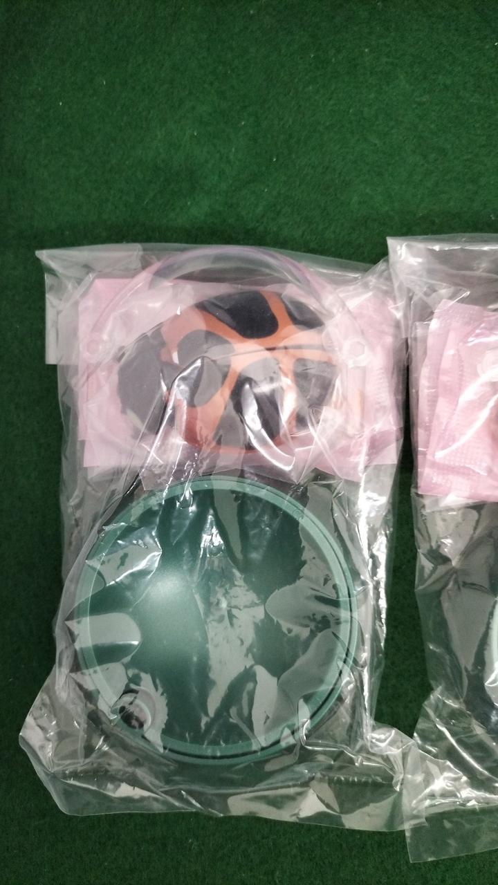 ダイモンテントウ