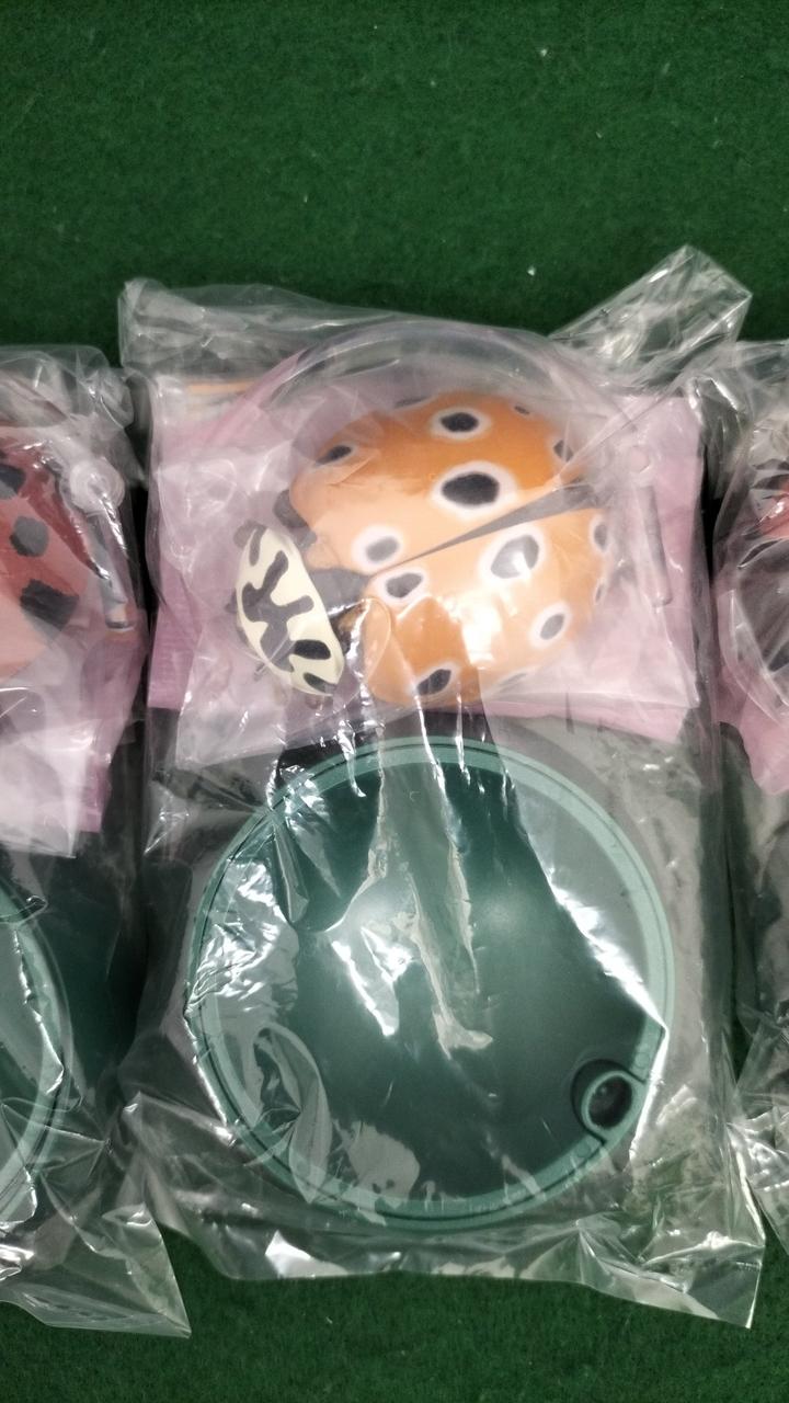 ウンモンテントウ