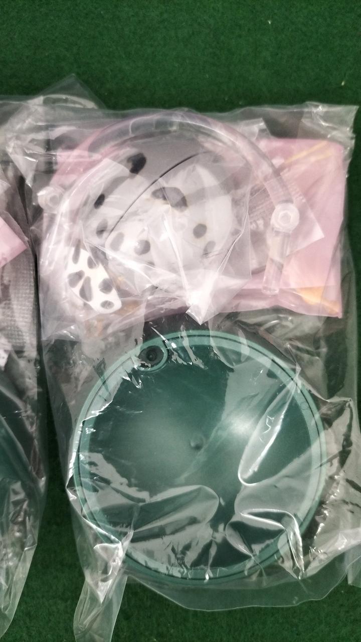 ハイイロテントウ