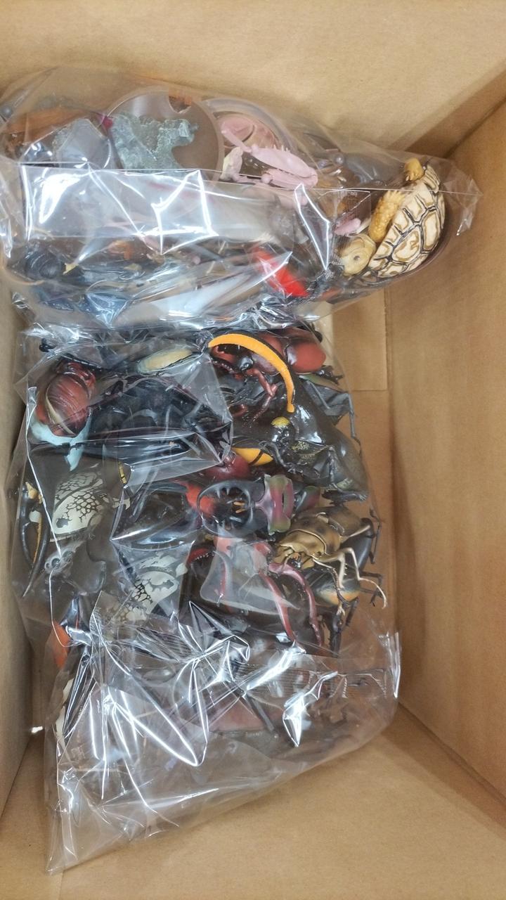 返品、交換、中身の確認はできません。