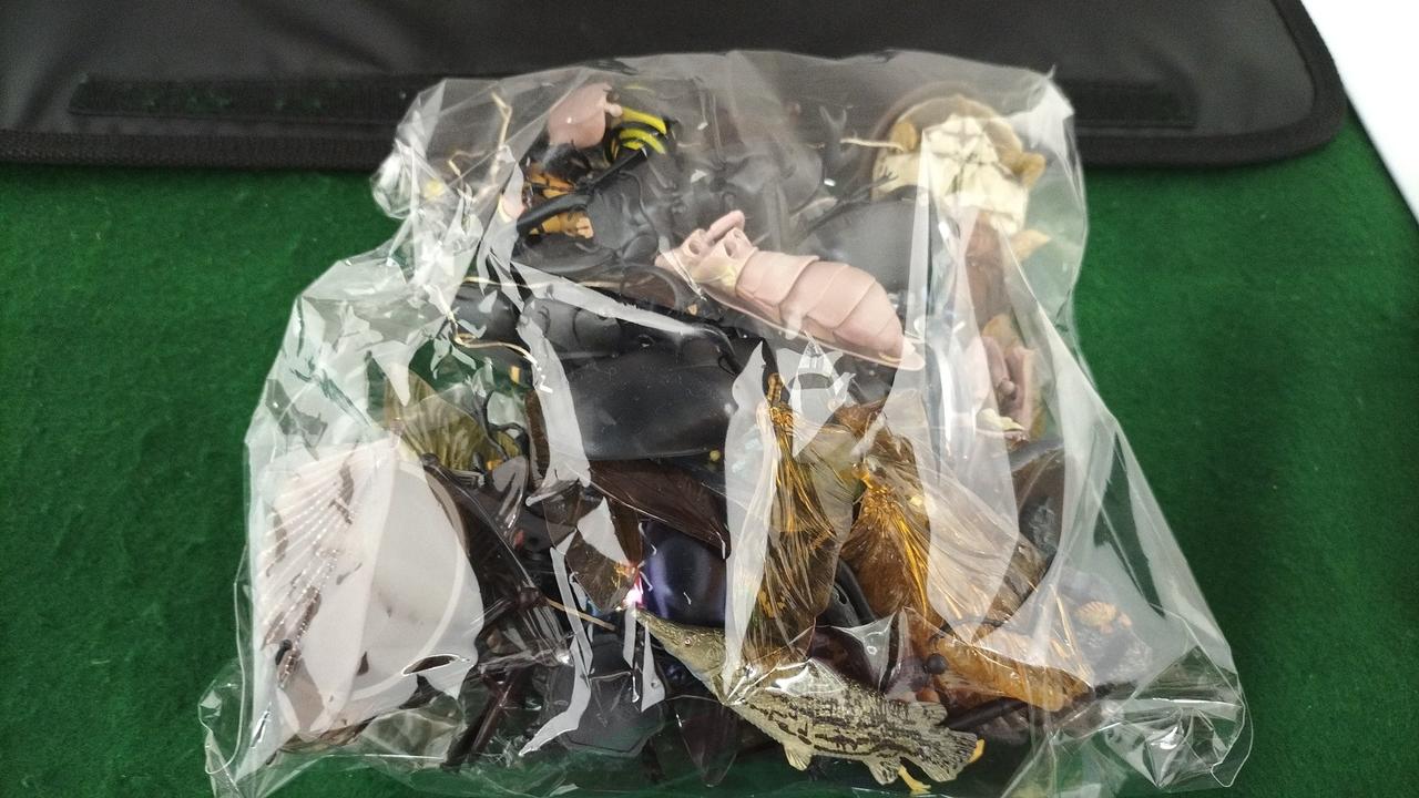 現状品での販売となります。