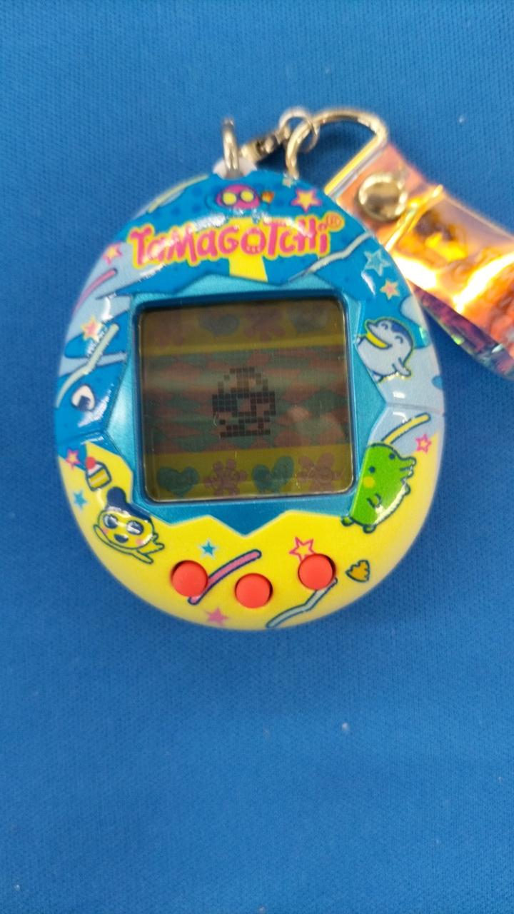 電池は付属しません。