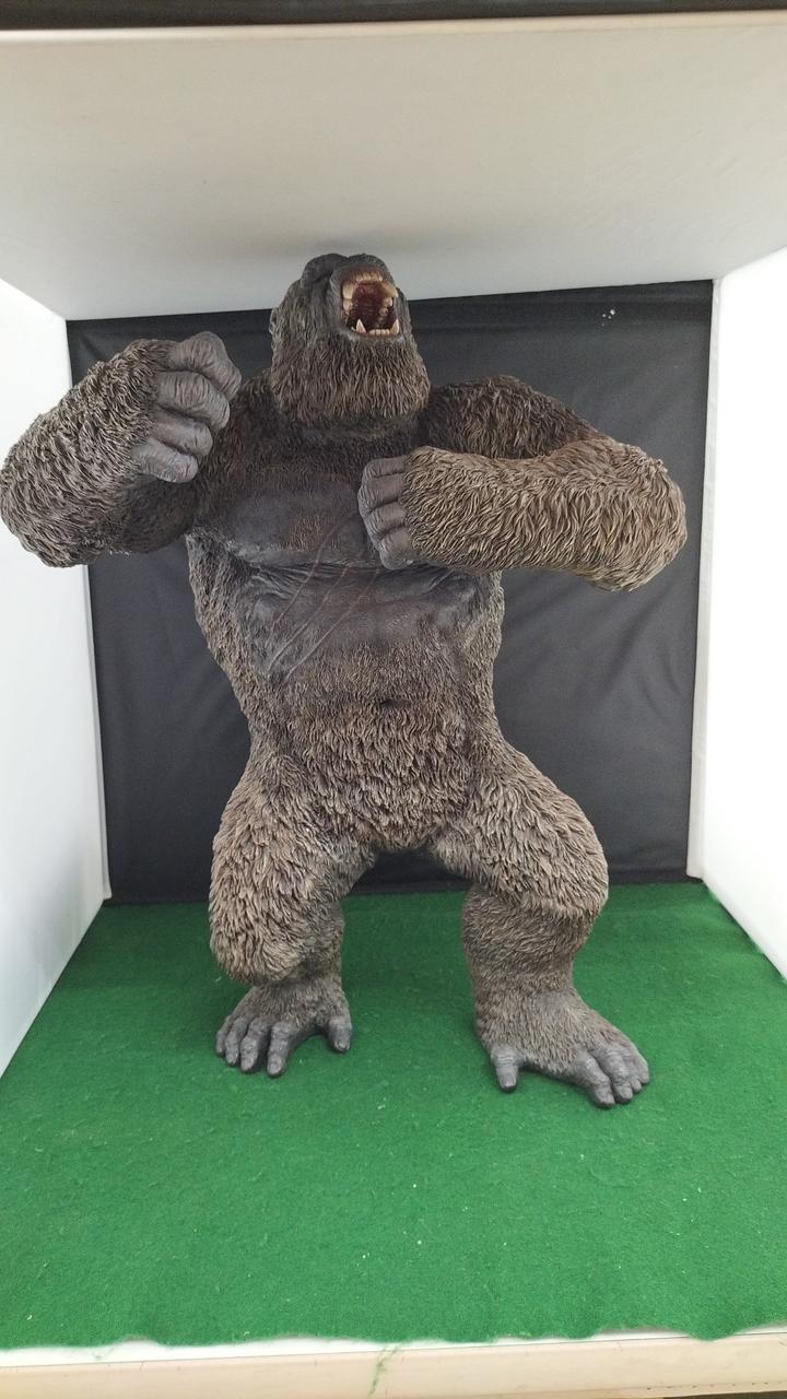 現状品での販売です