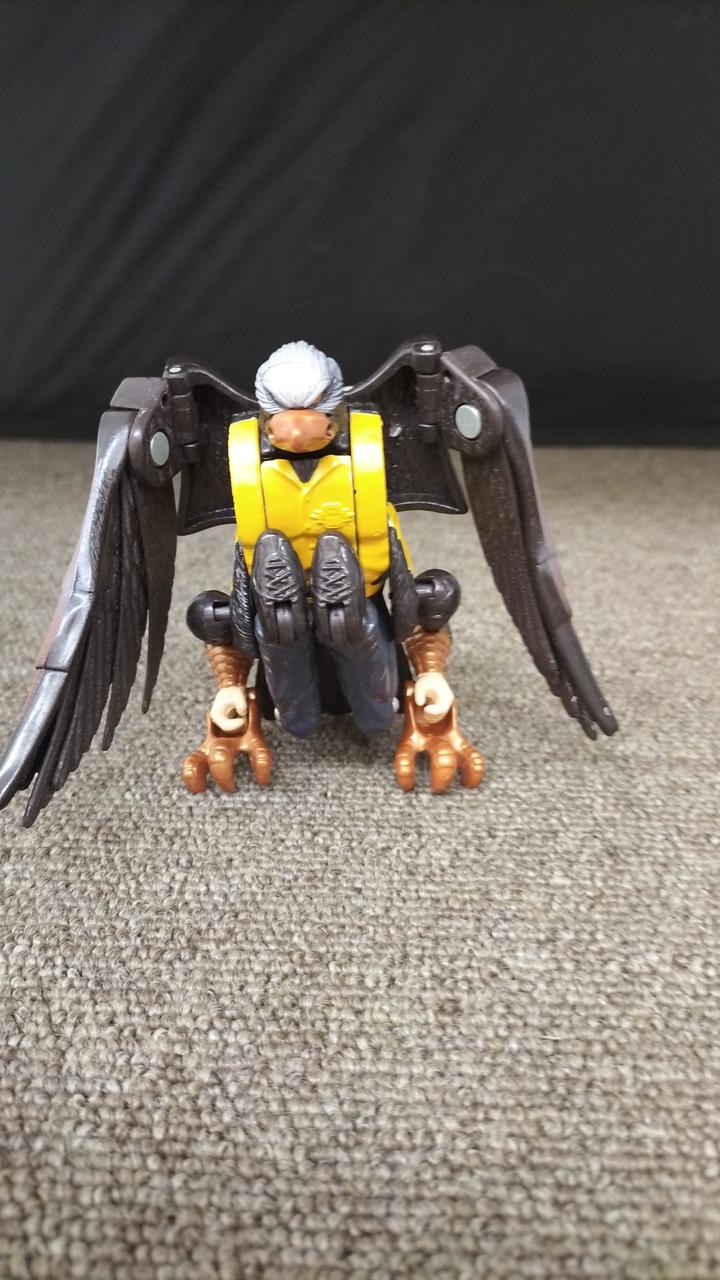 現状品での販売です