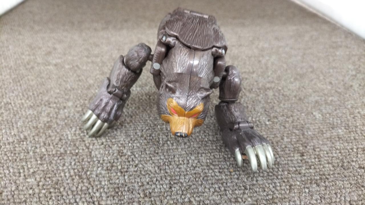 現状品での販売です