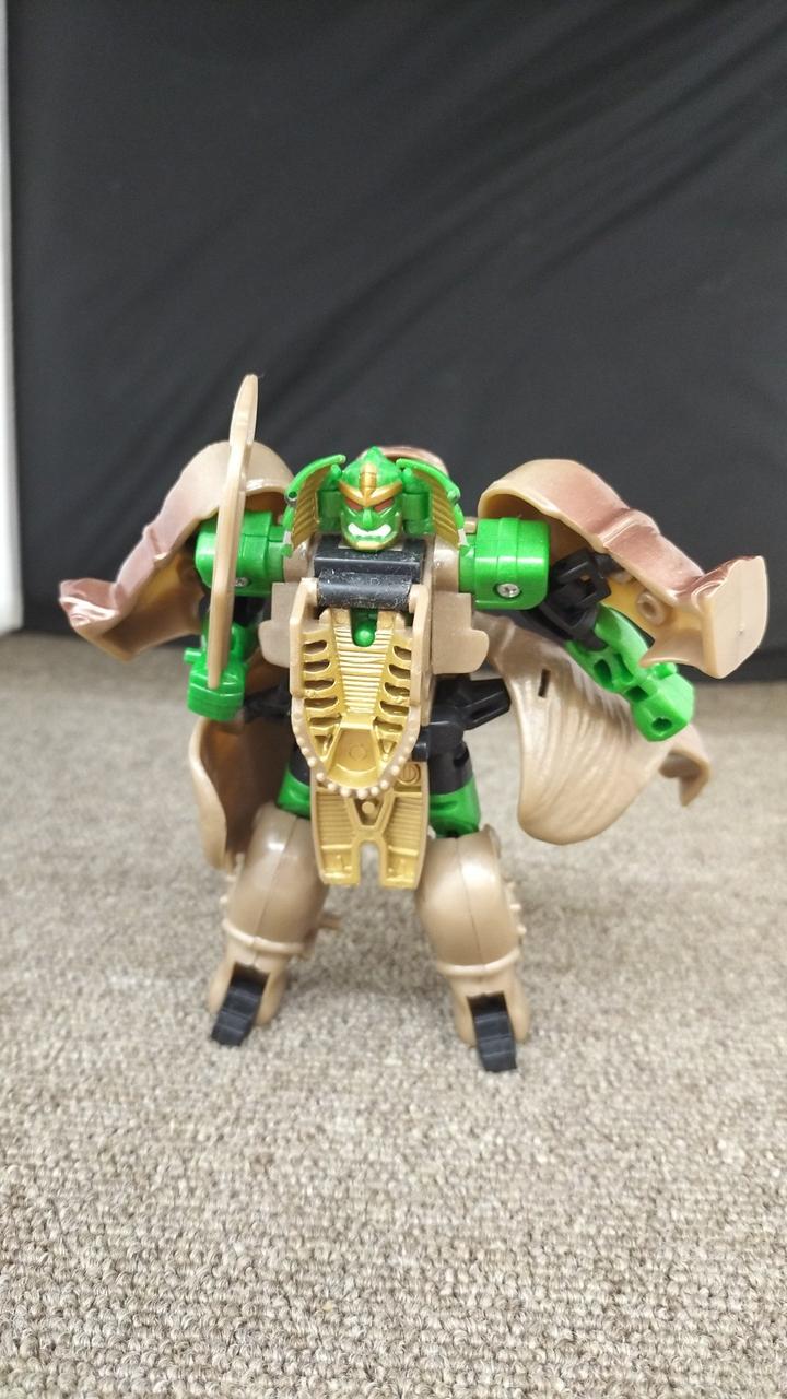 現状品での販売です