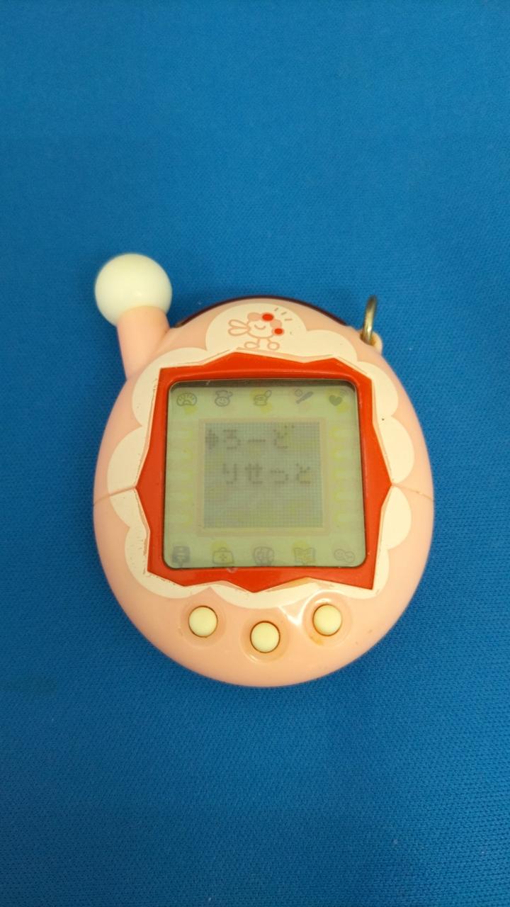 ブリスター無し現状品