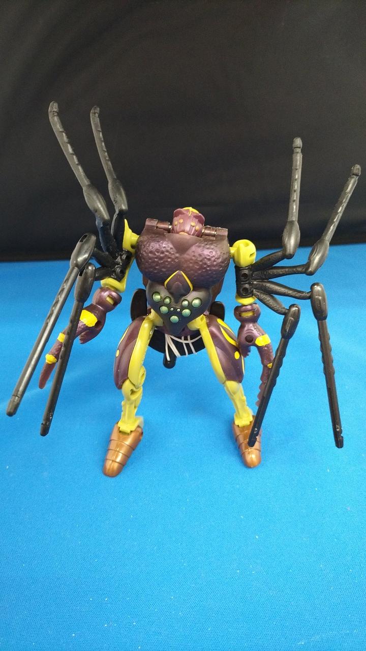 現状品での販売です