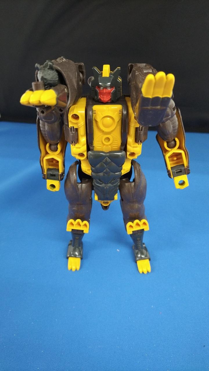 現状品での販売です