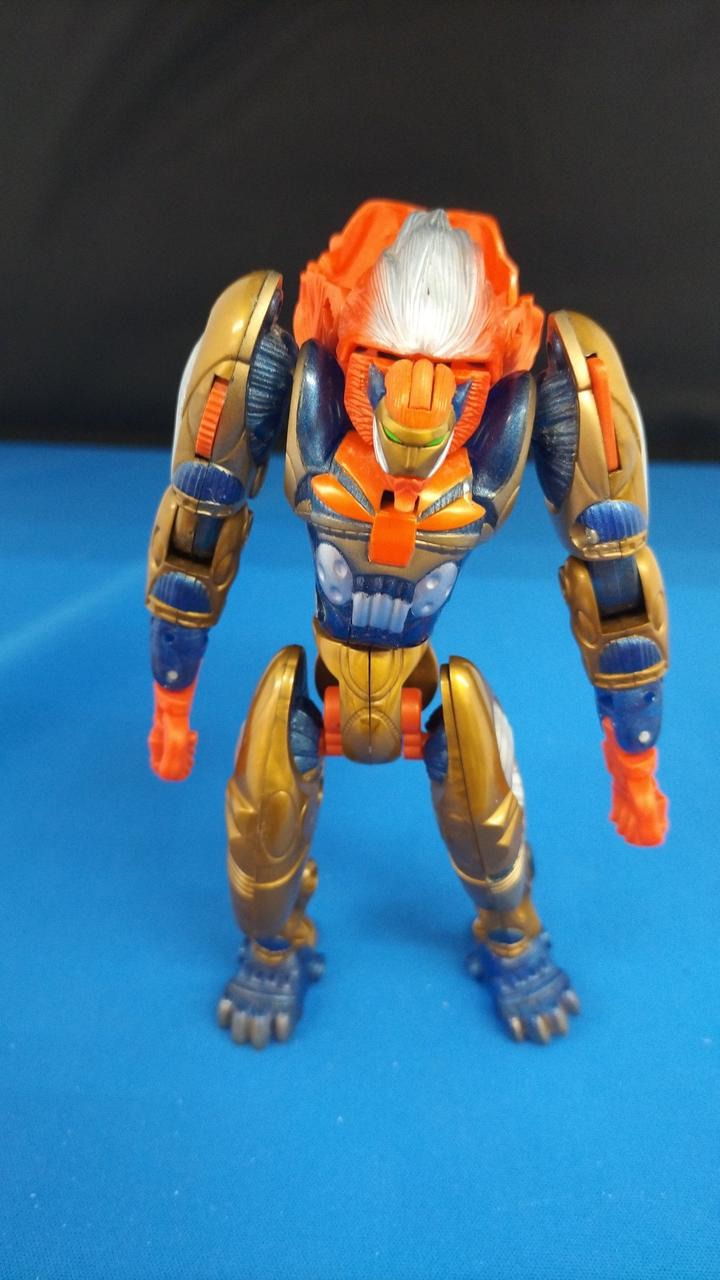 現状品での販売です