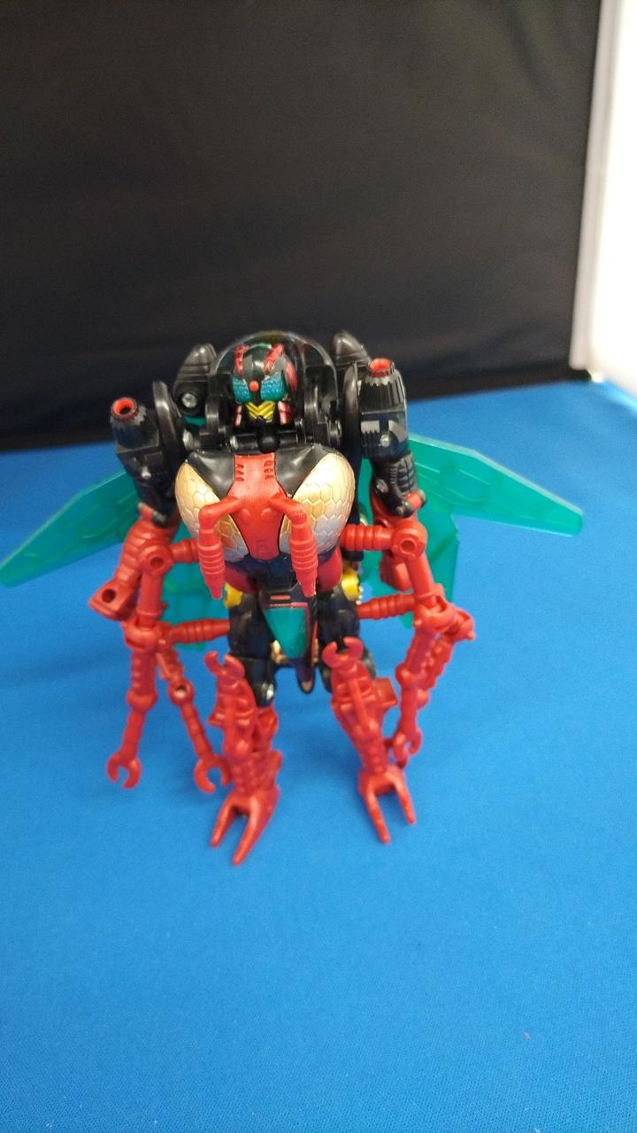 現状品での販売です