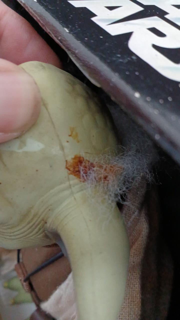 髪の接着剤経年劣化による変色有