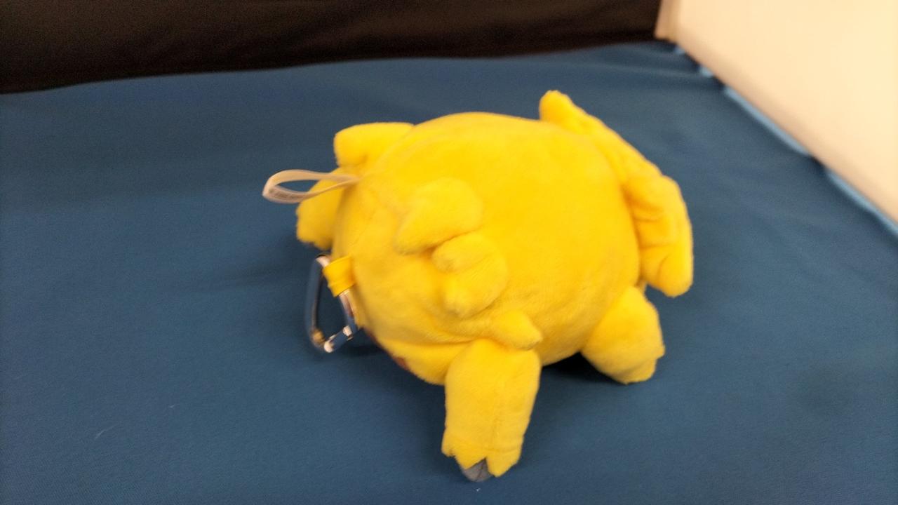 ポケモンセンター|バチュル ネットバッグ|【ハードオフ公式通販】オフ