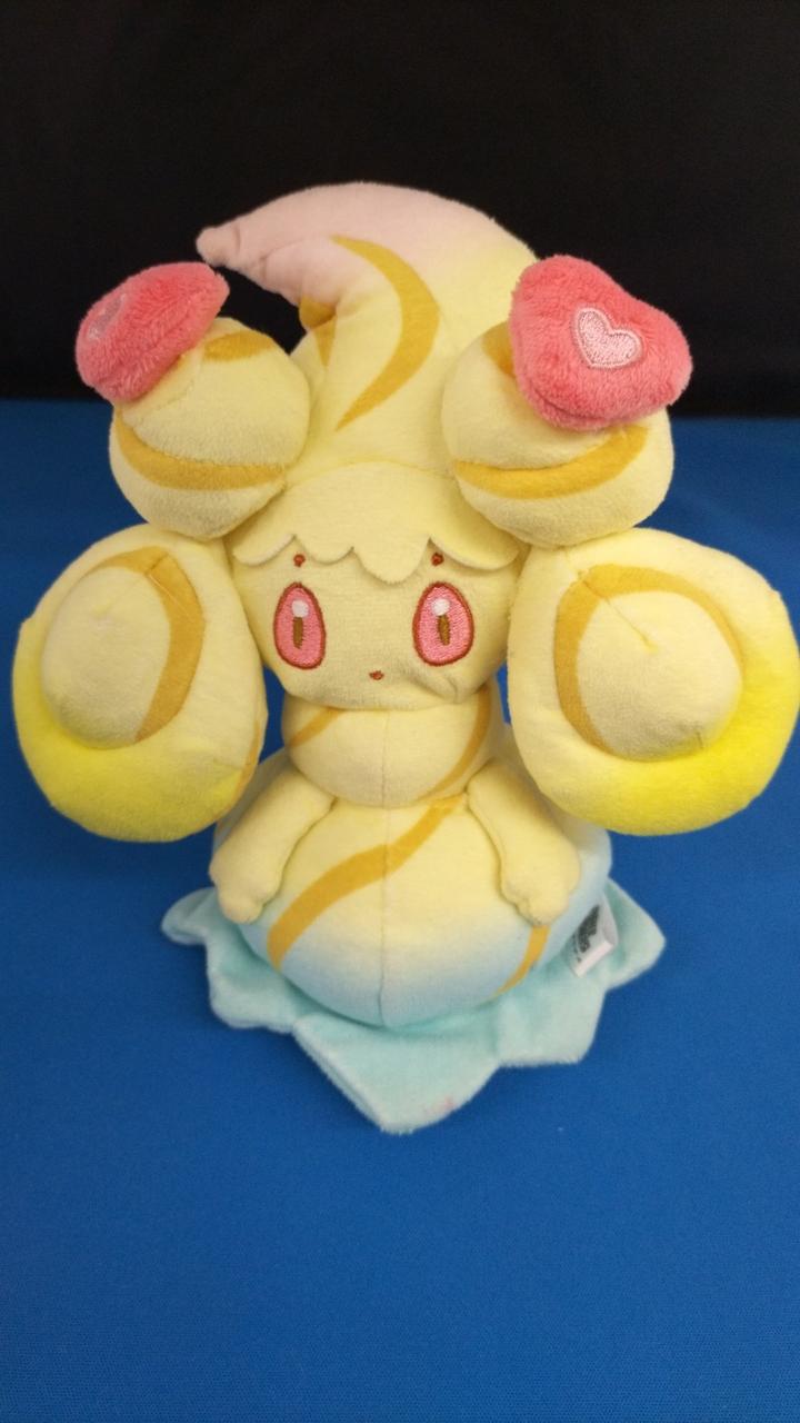 現状品での販売です