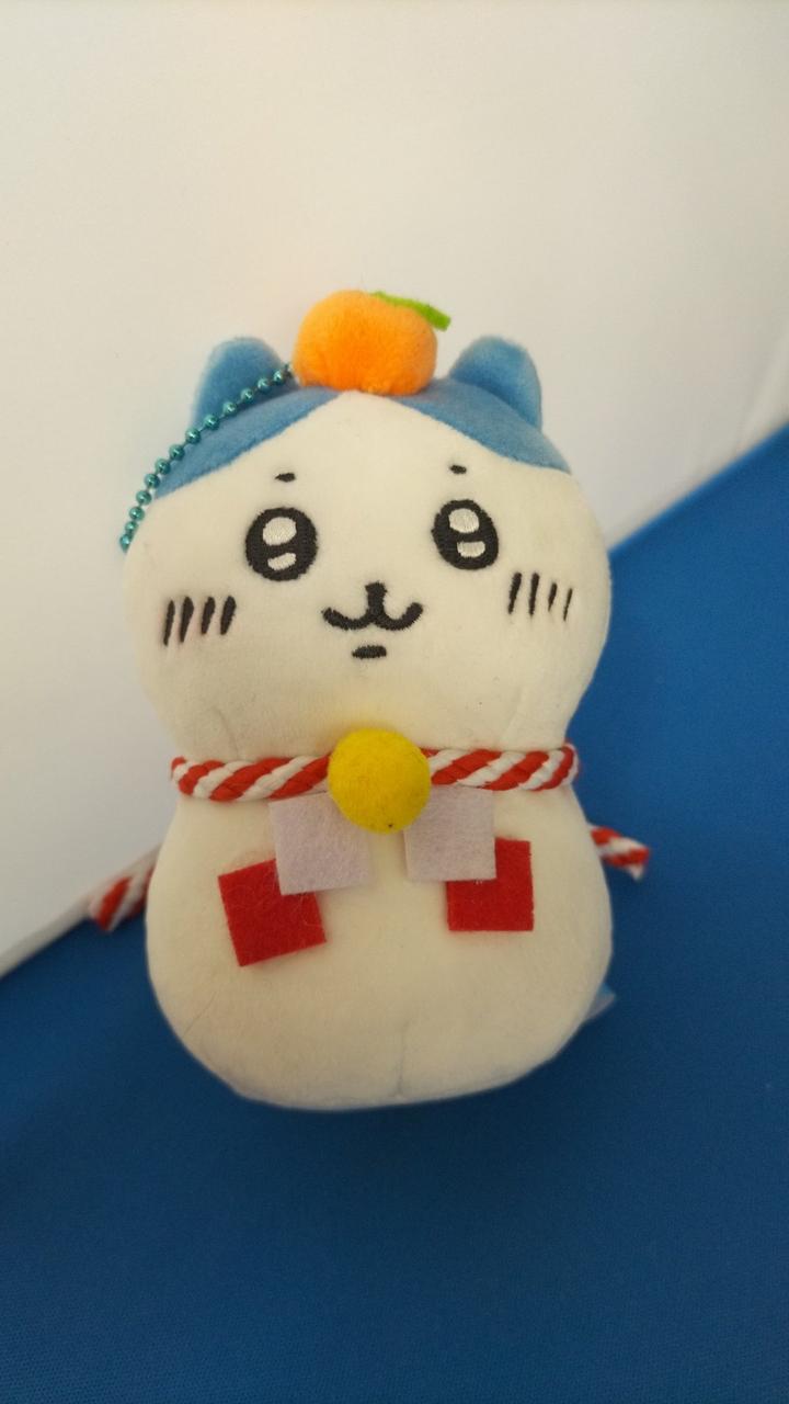 現状品での販売です
