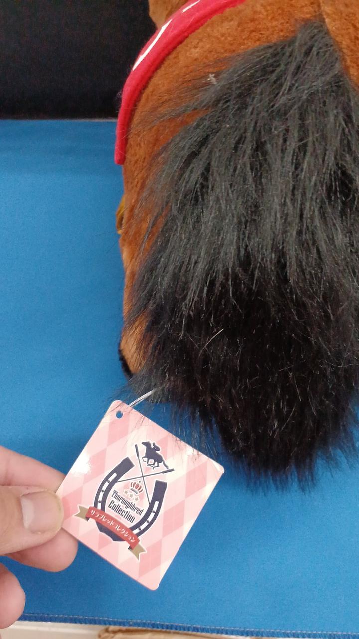 タグ付き現状品