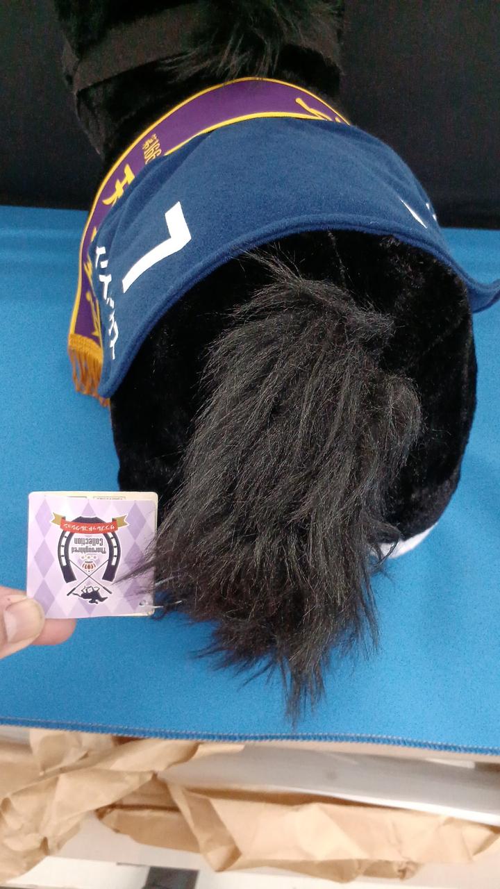 タグ付き現状品