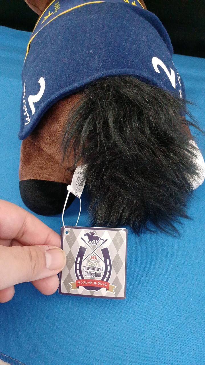 タグ付き現状品