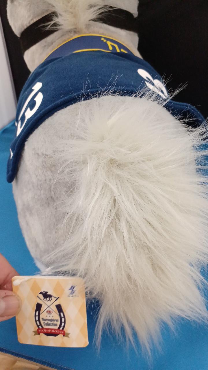 タグ付き現状品