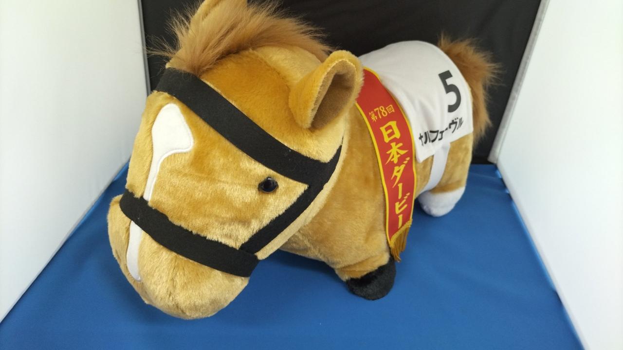 現状品での販売です