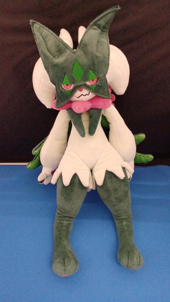 タグ無し現状品