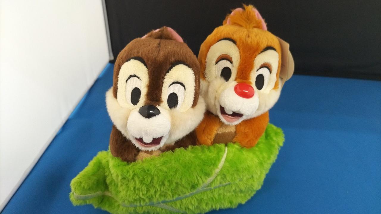 現状品での販売です