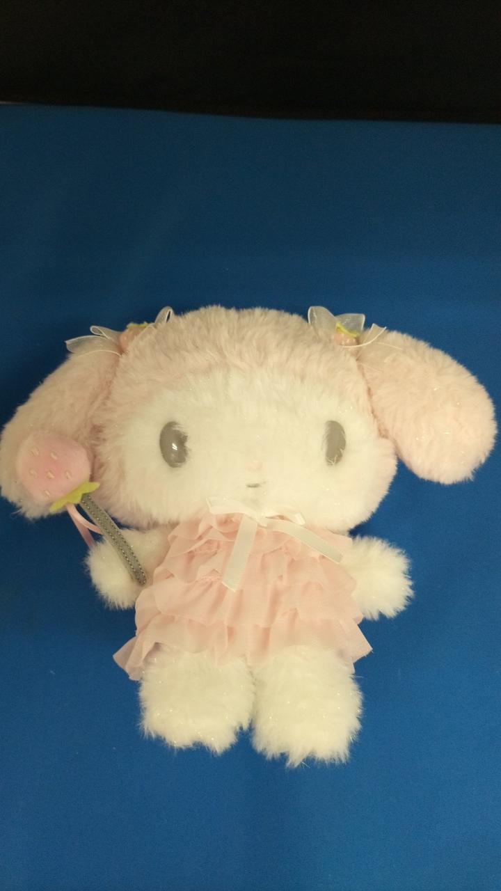 現状品での販売です