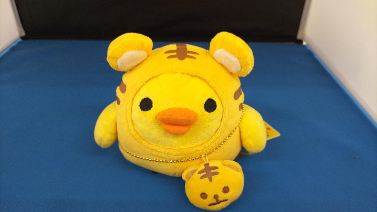 現状品での販売です
