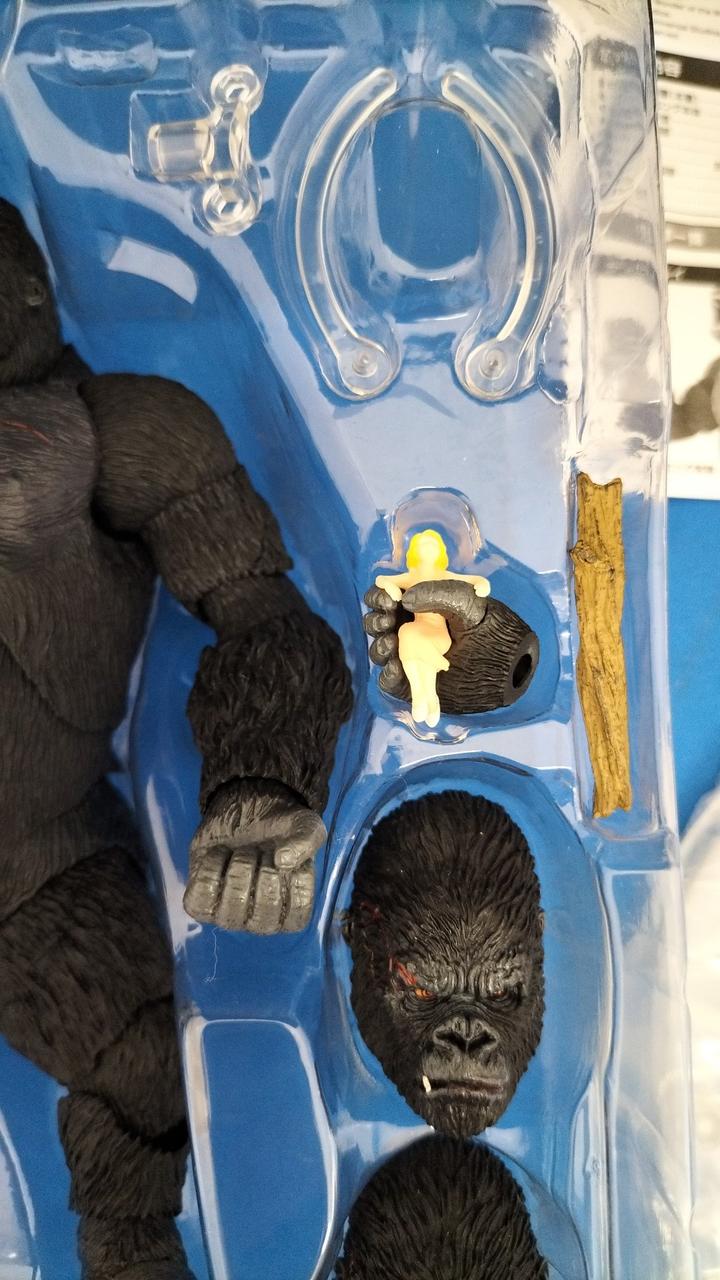 付属品OK