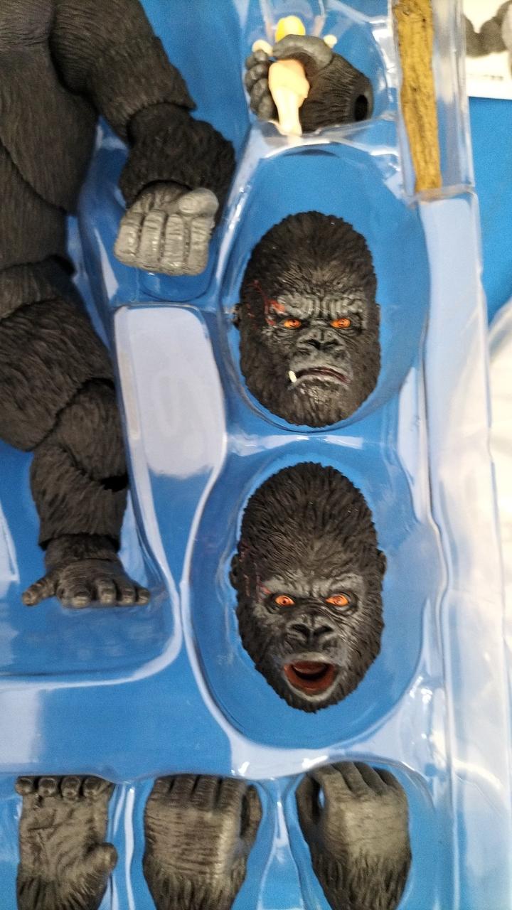 付属品OK