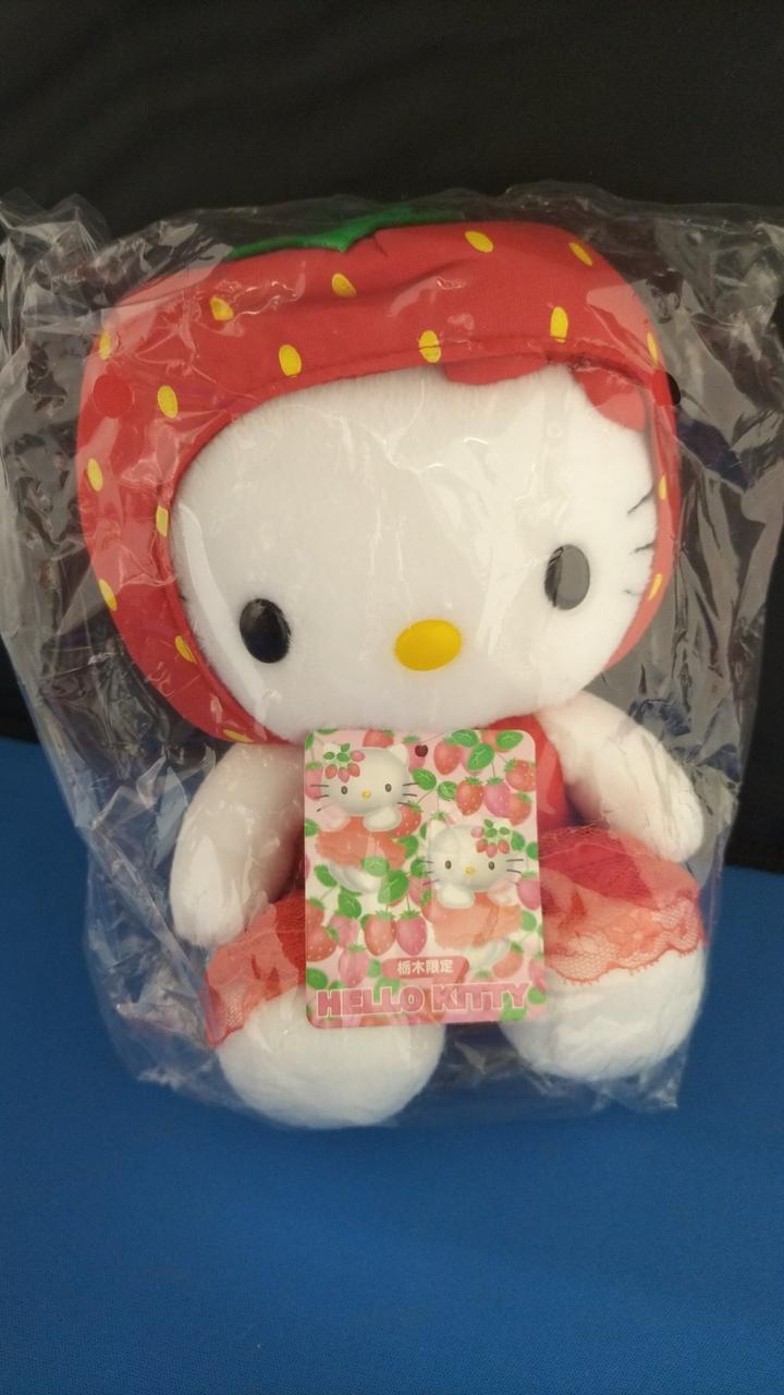 未開封品です