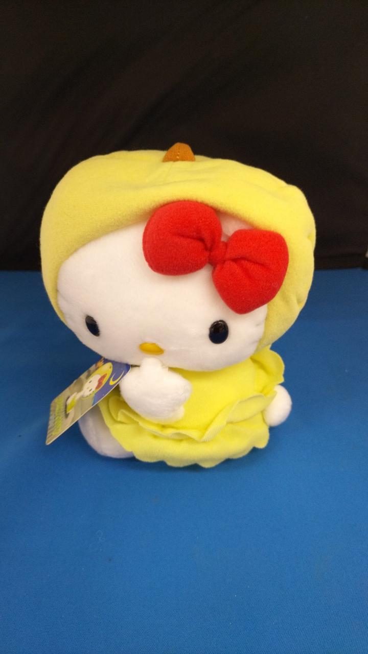 現状品での販売になります