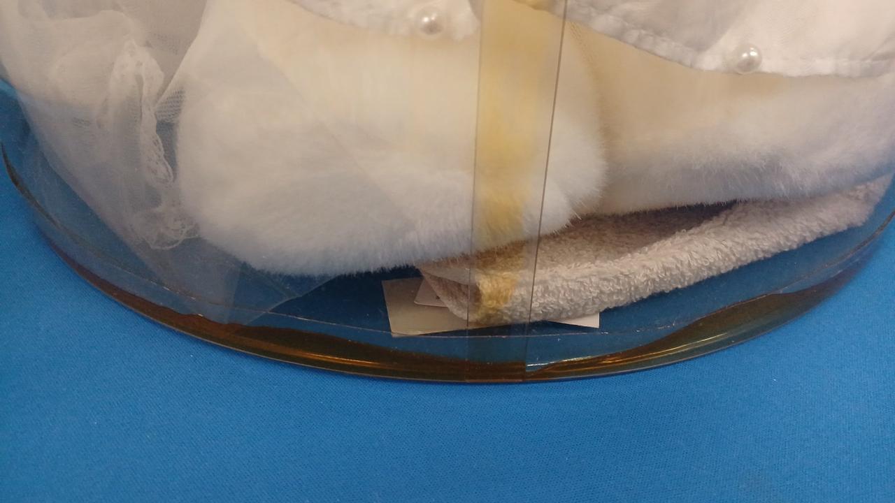 ケース汚れ有